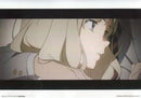 Darling in the Franxx Would you like to be my Darling? Ichibankuji 2 pc Cels