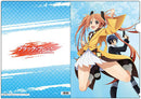 Enju Aihara & Rentarou Satomi Black Bullet Clear File