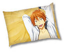 Momotarou Mikoshiba Free Eternal Summer Vol.2 Pillow Case