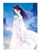 Ashito Ooyari Art Works Chronicle Limited Edition 18+