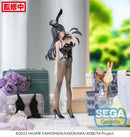 Mai Sakurajima Rascal Does Not Dream of Bunny Girl Senpai Desktop x Decorate Collections