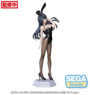 Mai Sakurajima Rascal Does Not Dream of Bunny Girl Senpai Desktop x Decorate Collections