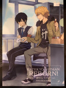 Hibari & Dino Katekyo Hitman Reborn Clear File