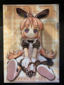 Hoi Hoi San Clear File