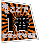 Katsuki Bakugo My Hero Academia A5 Clear Folder & Sticker Set