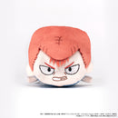 Yu Yu Hakusho Gororin Mascot Plush Single Blind Box