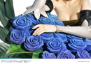 Gwendolyn Odin Sphere: Leifdrasir Prisma Wing 1/7 Scale Figure
