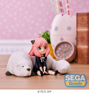 Anya and Bond Forger Premium Chokonose Figure