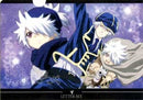 Tegami Bachi Clear File